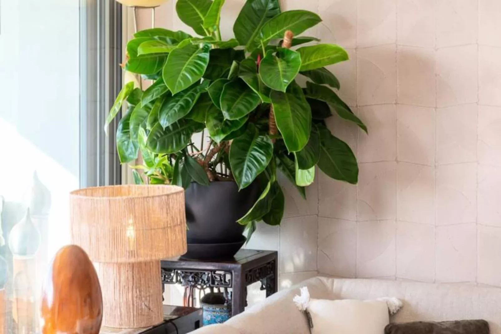 Résidence 3p De Dtanding Cannes Vue Mer-Niet-getagd