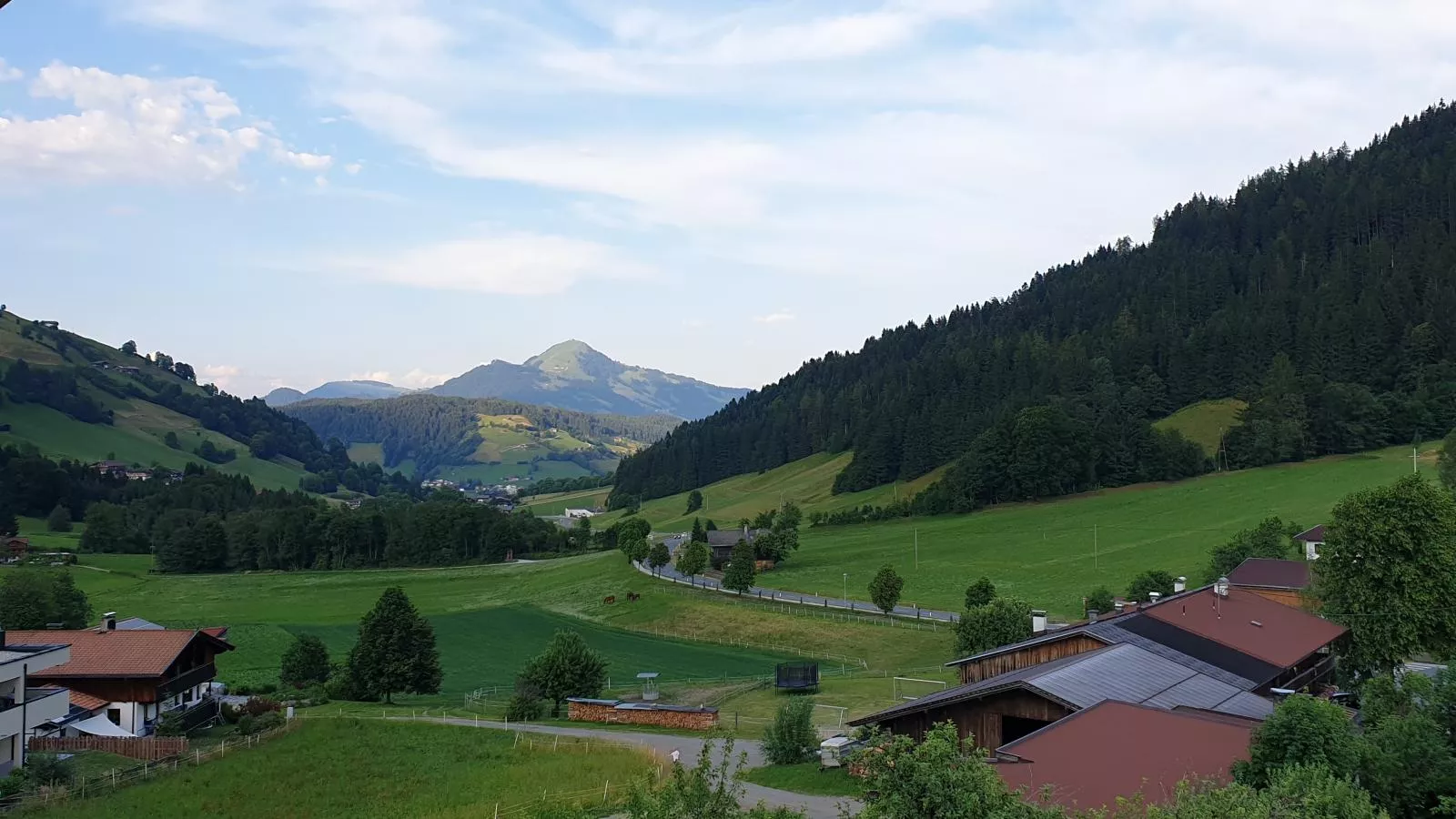 Tirolee Marchegg-Uitzicht zomer