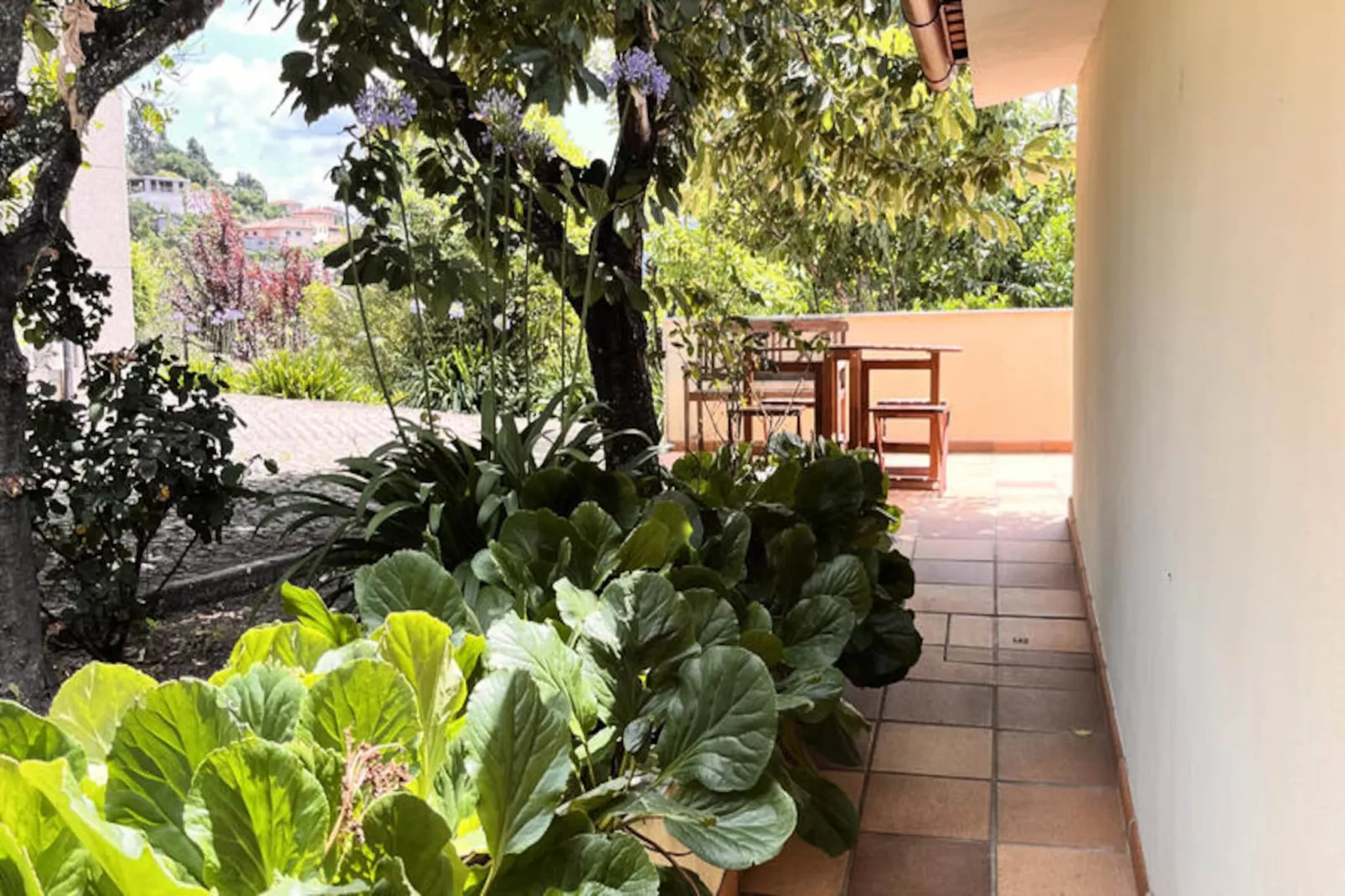 Maison à Cabeceiras de Basto-Niet-getagd