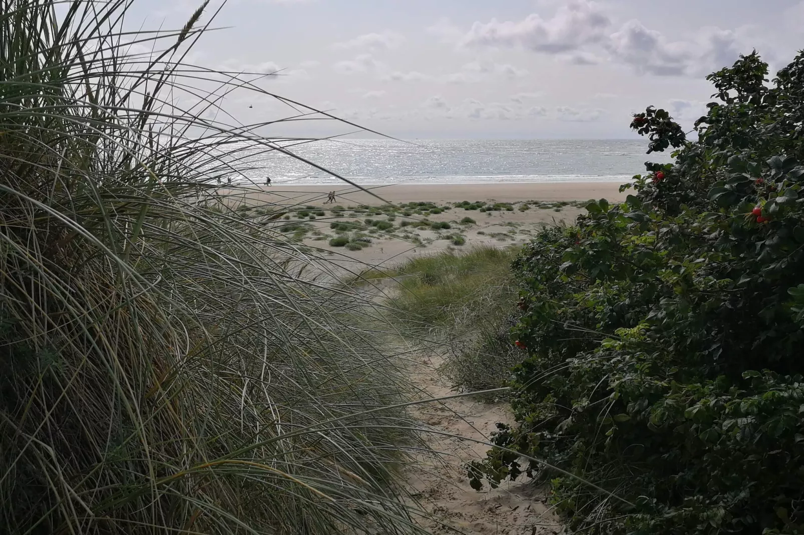 Luxe oase in Blavand-By Traum-Niet-getagd