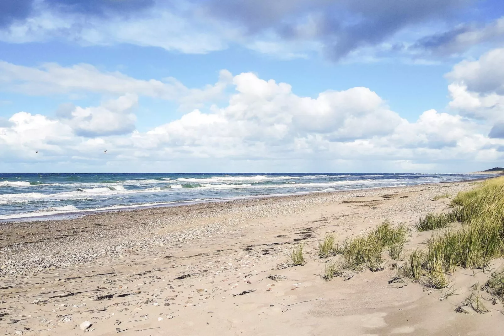 8 persoons vakantie huis in Frederiksværk-Waterzicht