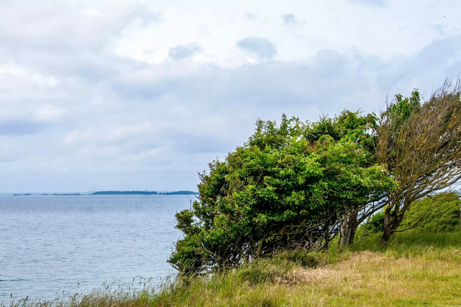 4 persoons vakantie huis in Assens-Waterzicht