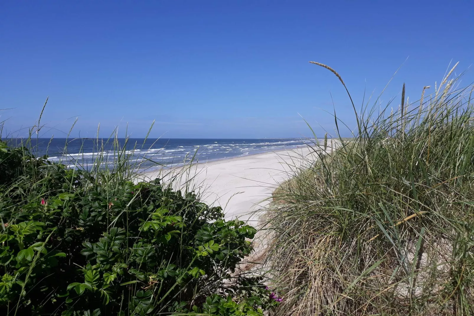 6 persoons vakantie huis in Blåvand-Waterzicht