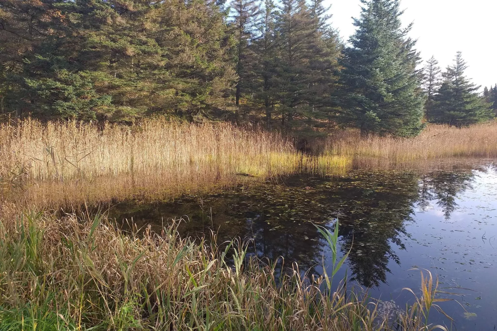 4 persoons vakantie huis in Bøvlingbjerg-Waterzicht