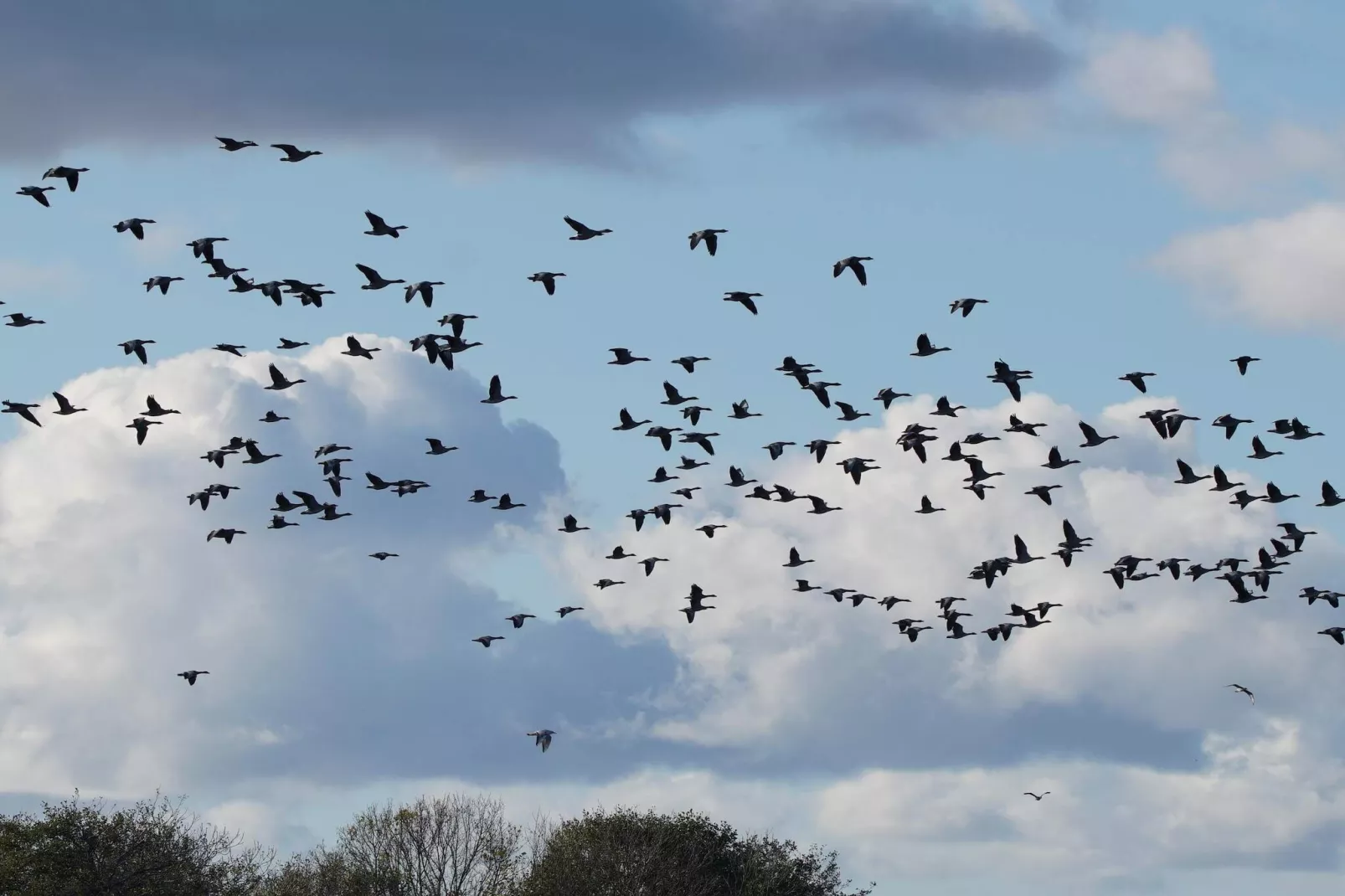 6 persoons vakantie huis in Ebeltoft-Niet-getagd