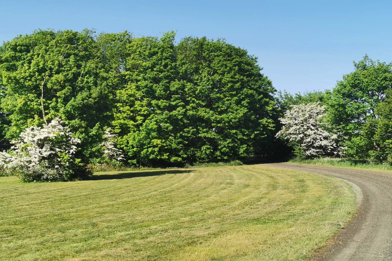 5 persoons vakantie huis in Holeby-Niet-getagd