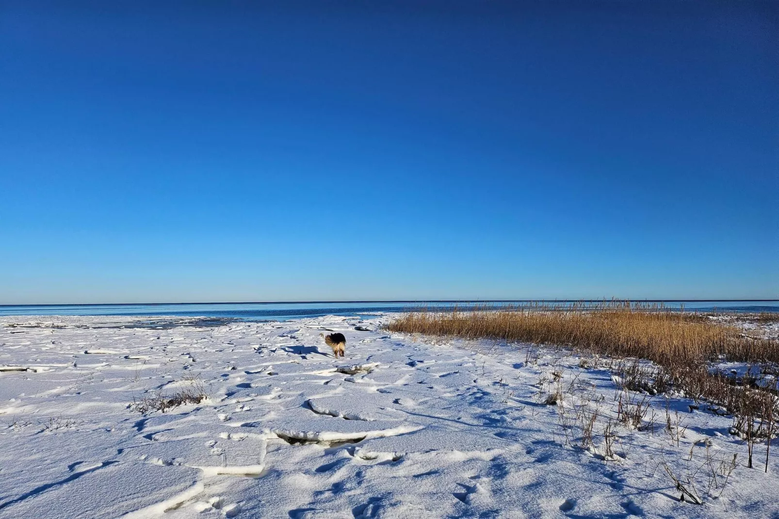 20 persoons vakantie huis in Ørsted-Waterzicht