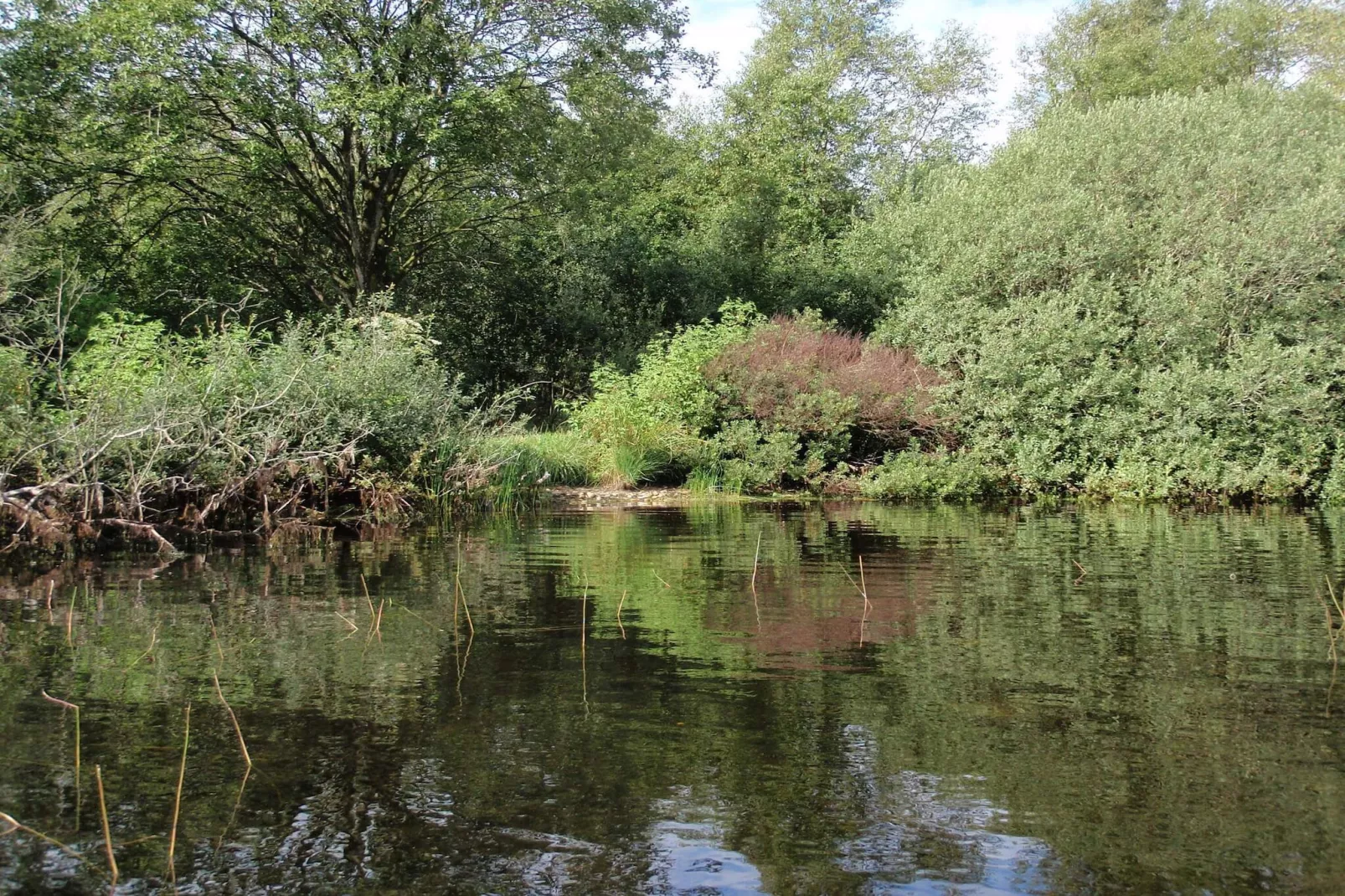 Afgelegen oase bij Kvie-meer-By Traum-Waterzicht