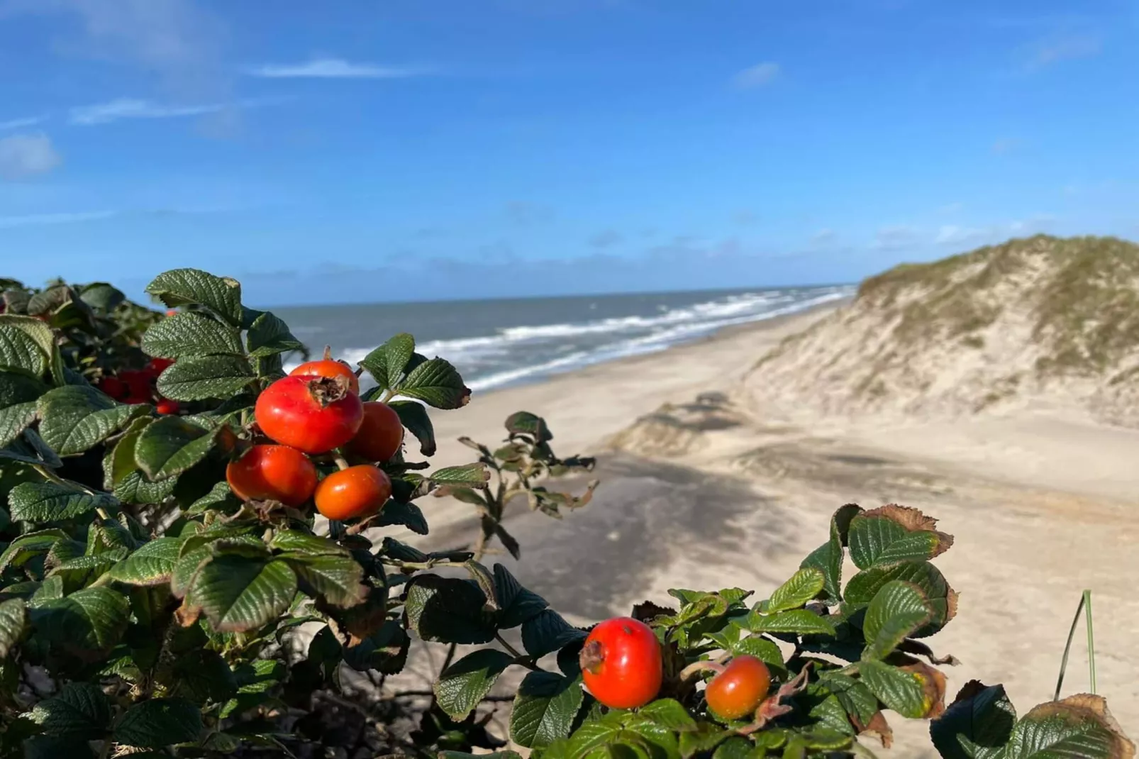 4 persoons vakantie huis in Ringkøbing-Niet-getagd