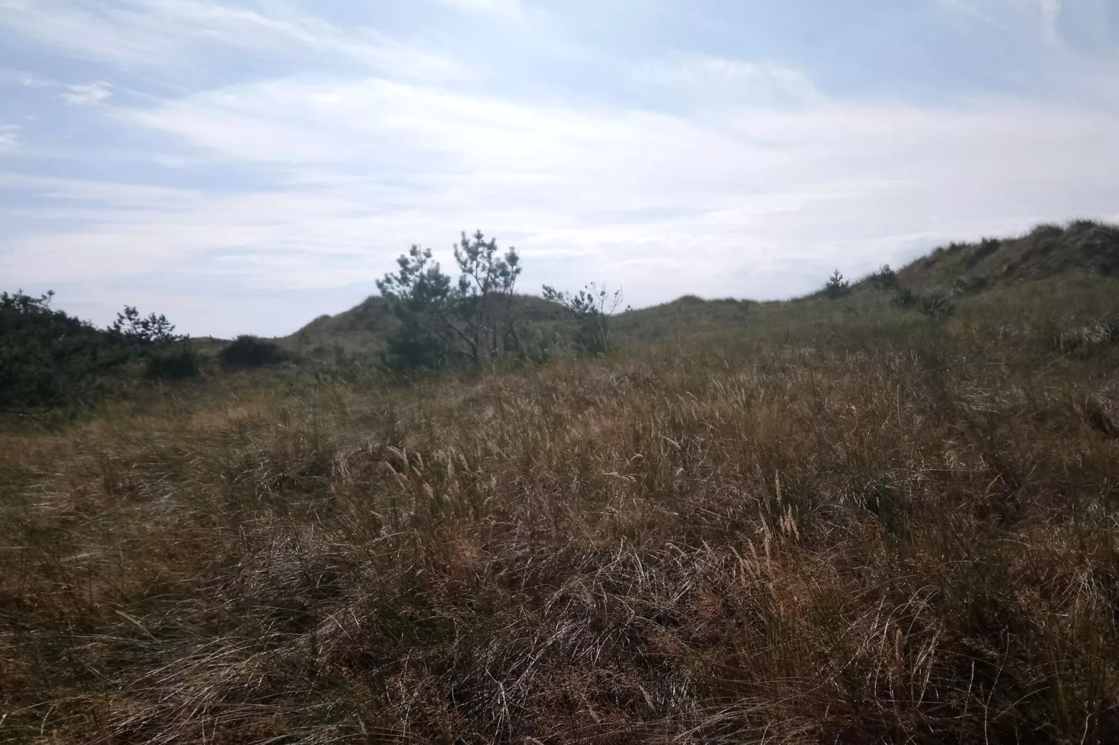 Gezellig eilandtoevluchtsoord in Vestero-By Traum-Niet-getagd