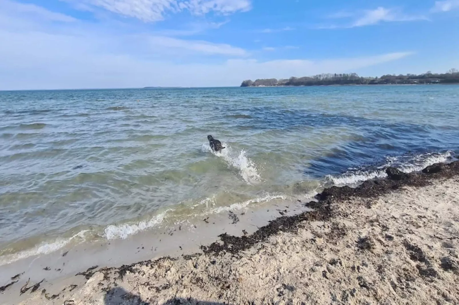 6 persoons vakantie huis in Hejls-Waterzicht