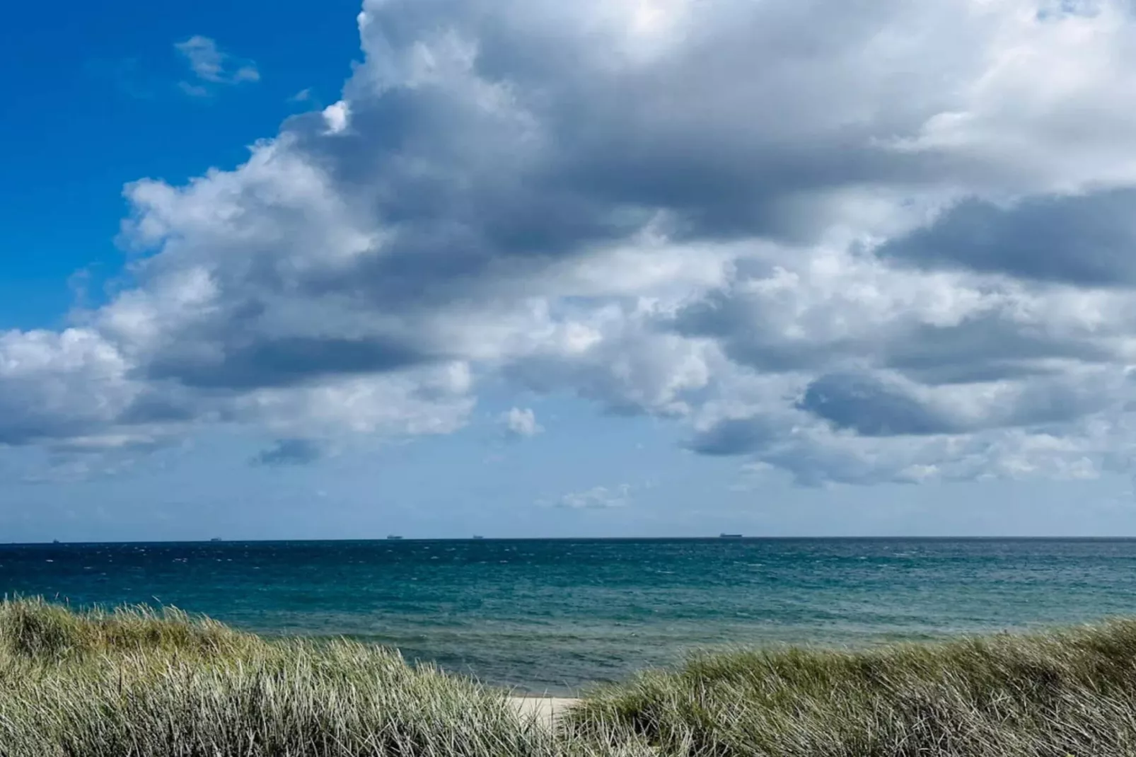 6 persoons vakantie huis in Skagen-Waterzicht