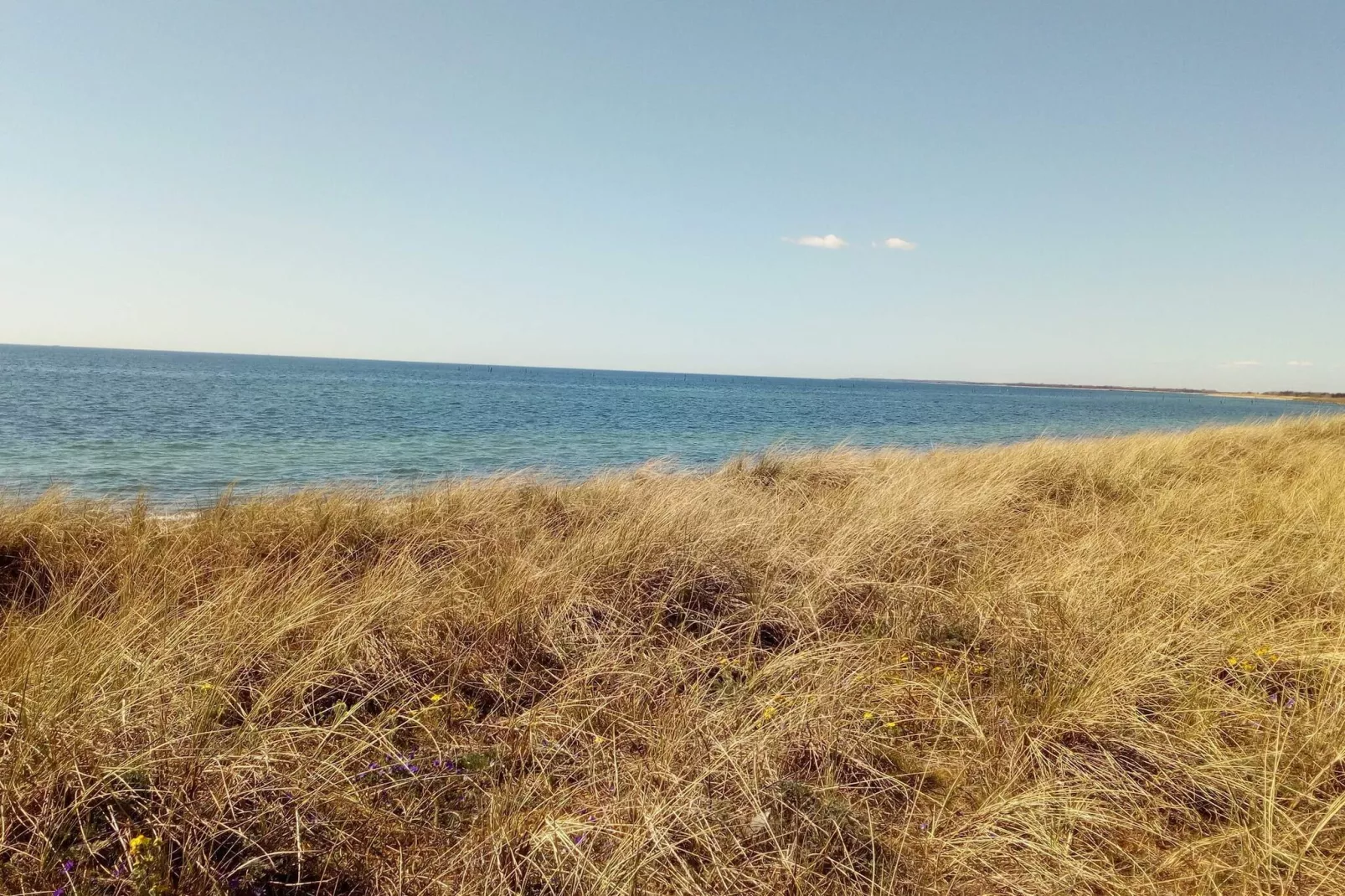 6 persoons vakantie huis in Rødby-Waterzicht