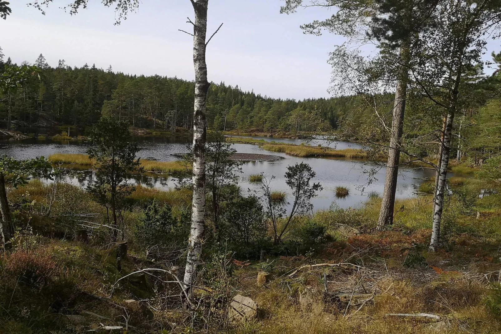 4 persoons vakantie huis in Brålanda-Waterzicht