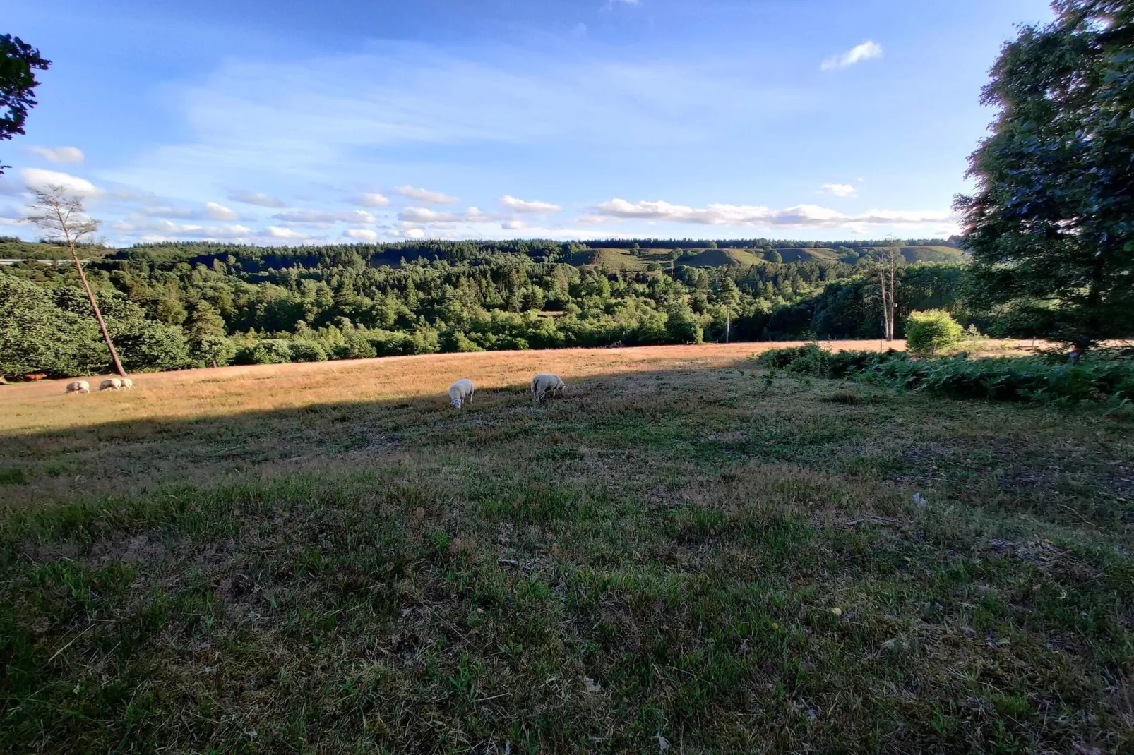 Lichte Cottage-oase in Silkeborg-By Traum-Niet-getagd