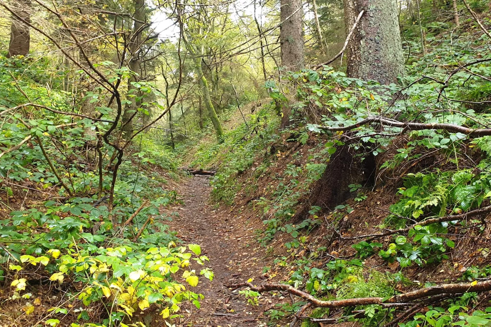 6 persoons vakantie huis in Ebeltoft-Niet-getagd