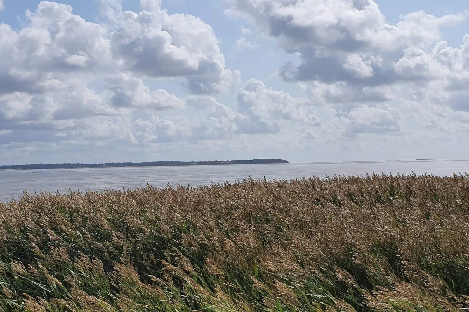 4 persoons vakantie huis in Oksbøl-Niet-getagd