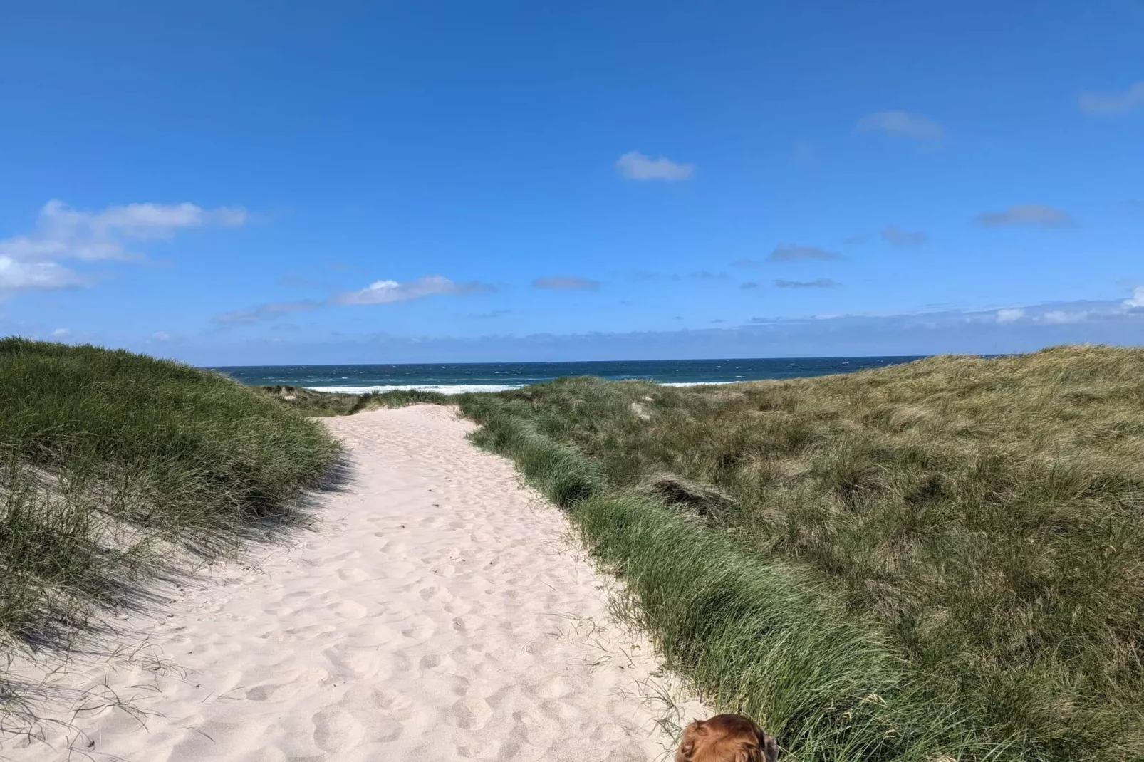 6 persoons vakantie huis in Thyholm-Niet-getagd