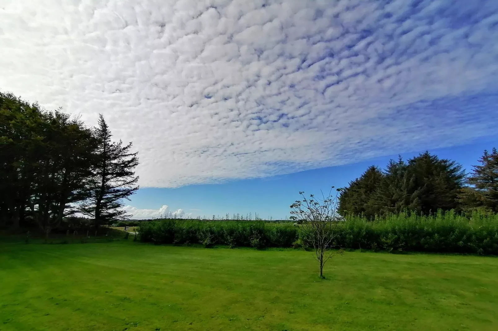 14 persoons vakantie huis in Løkken-Buitenlucht