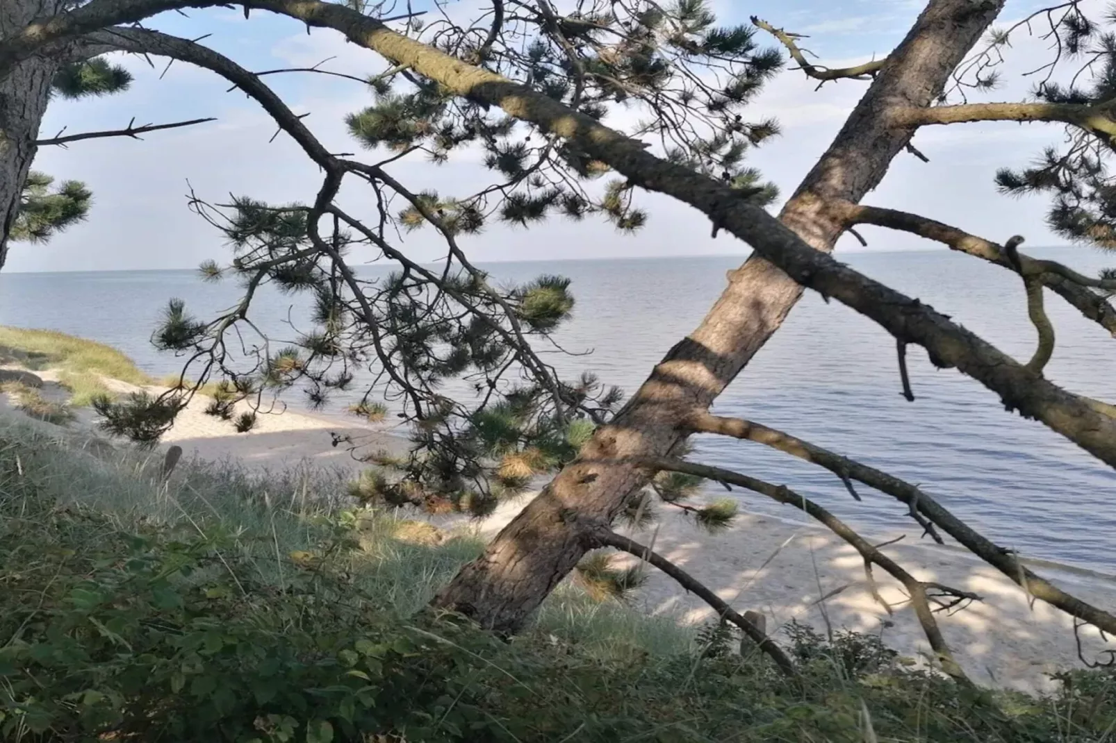 4 persoons vakantie huis in Rømø-By Traum-Waterzicht