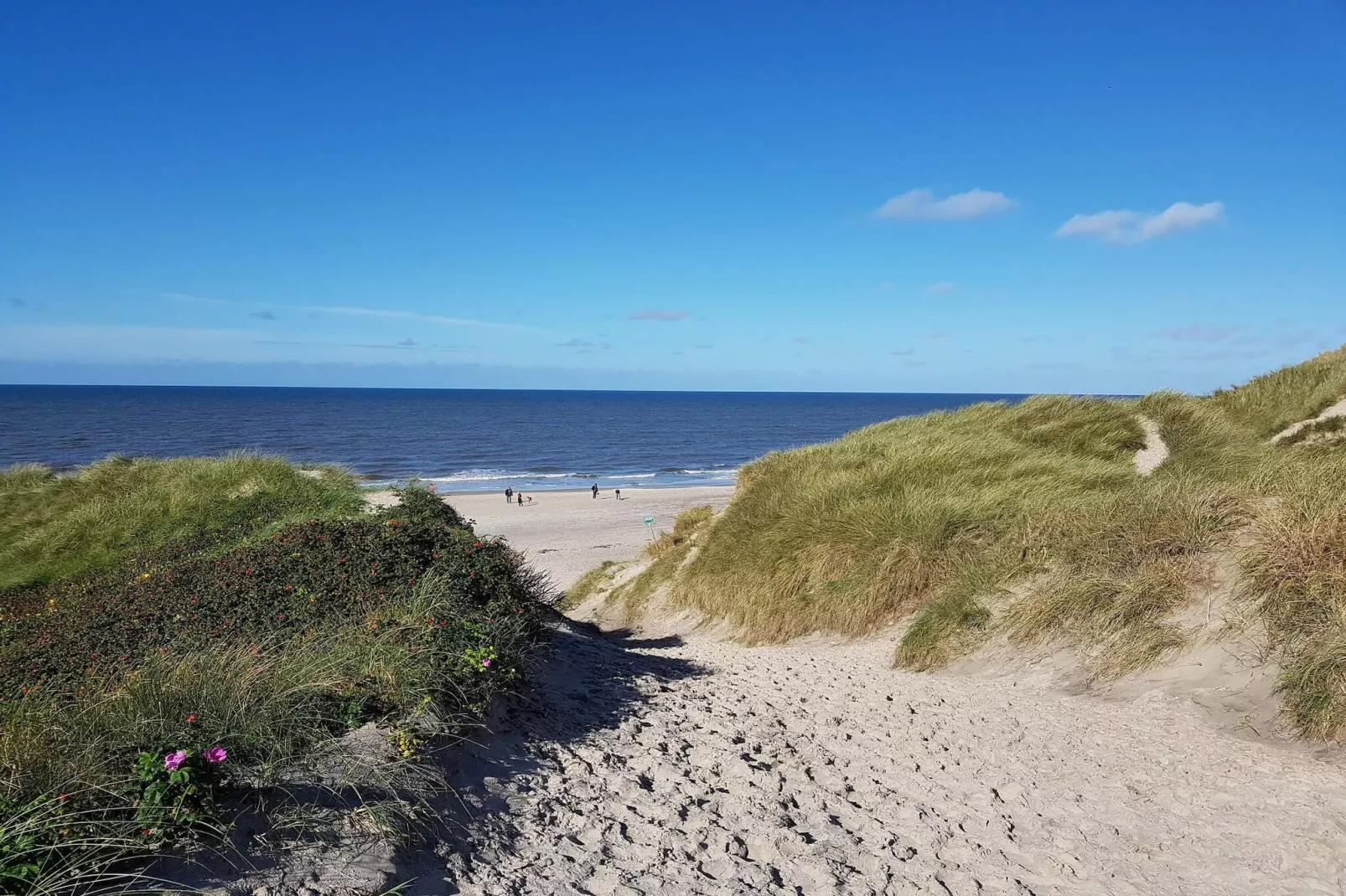 6 persoons vakantie huis in Ringkøbing-By Traum-Waterzicht