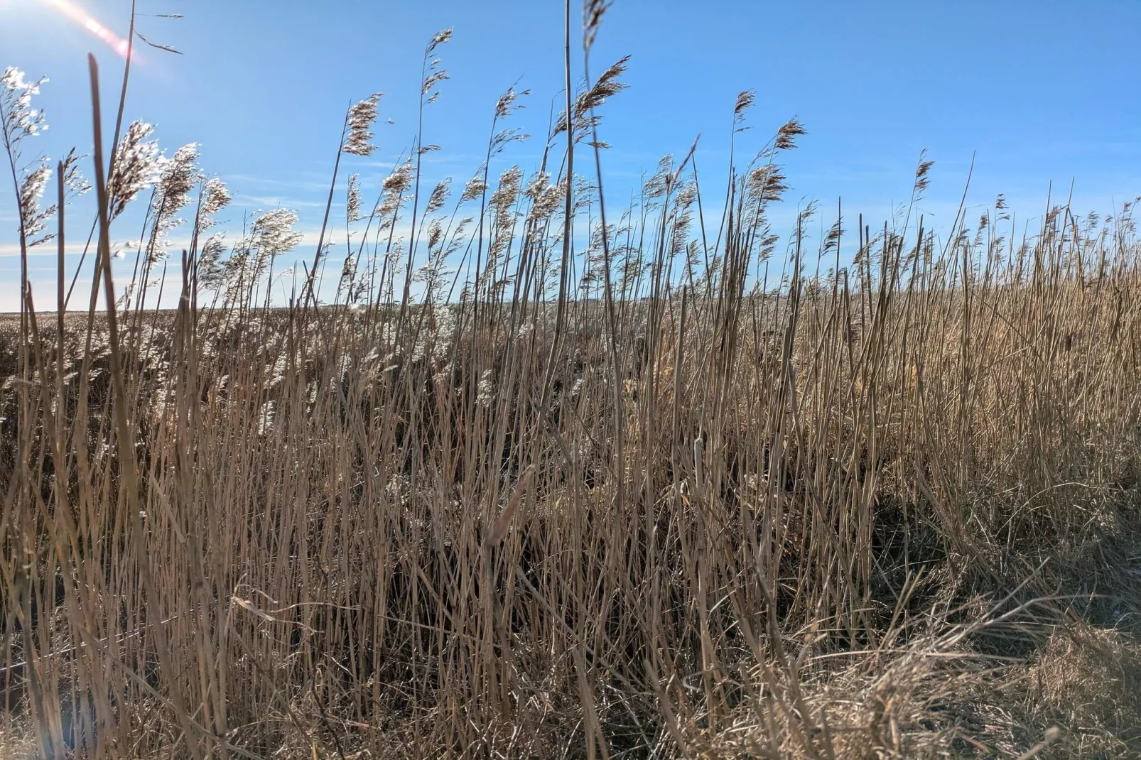 Afgelegen retraite in de natuur -- By Traum Ferienwohnungen-Niet-getagd
