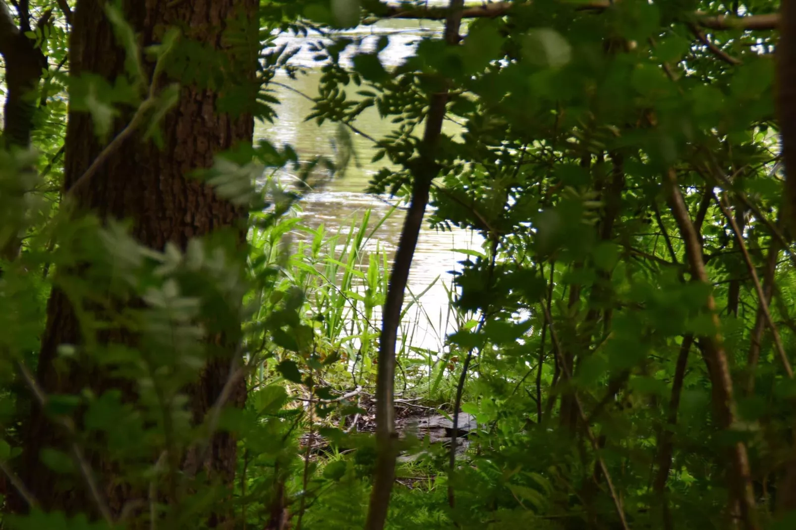 Luxe retraite bij Ho Baai -- By Traum Ferienwohnungen-Niet-getagd