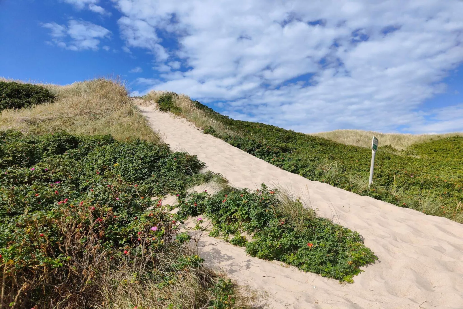 Kust ontsnapping met uitzicht -- By Traum Ferienwohnungen-Niet-getagd