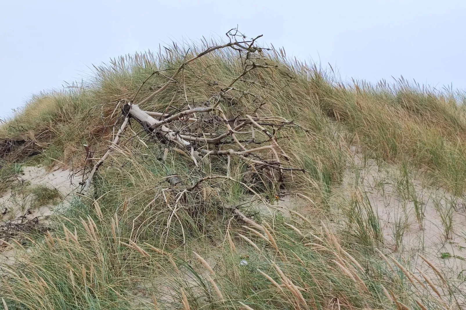 6 persoons vakantie huis in Harboøre-By Traum-Niet-getagd