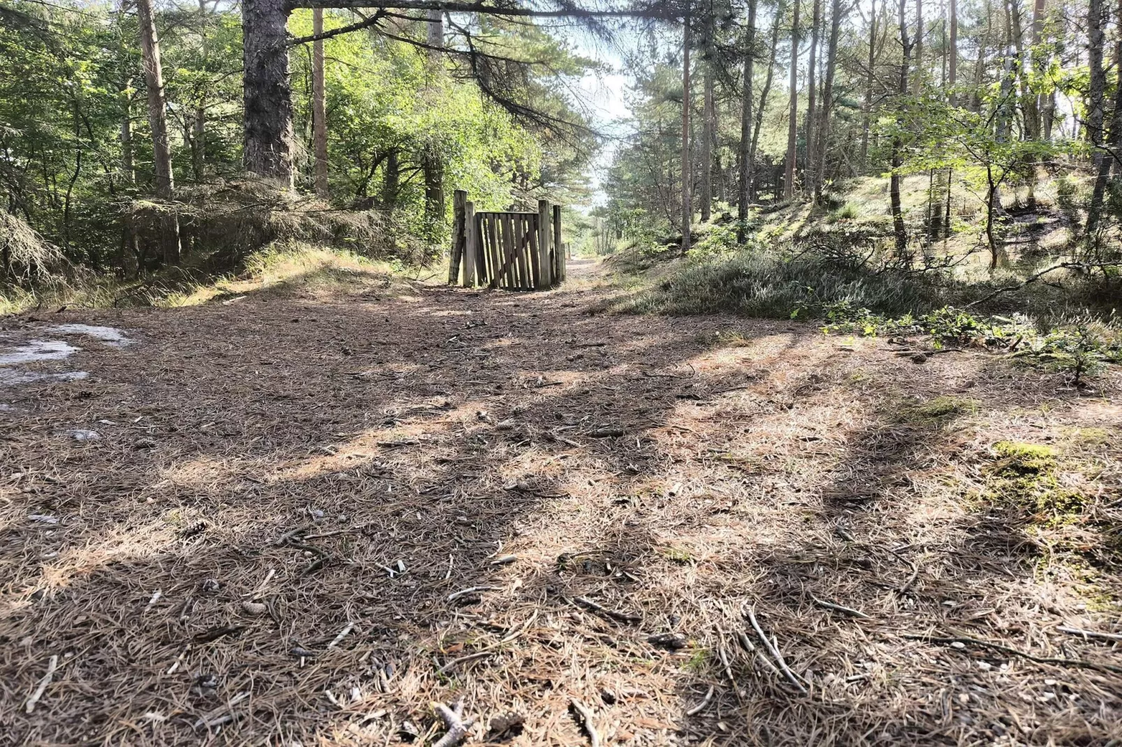 Afgelegen oase met zwembad -- By Traum Ferienwohnungen-Niet-getagd