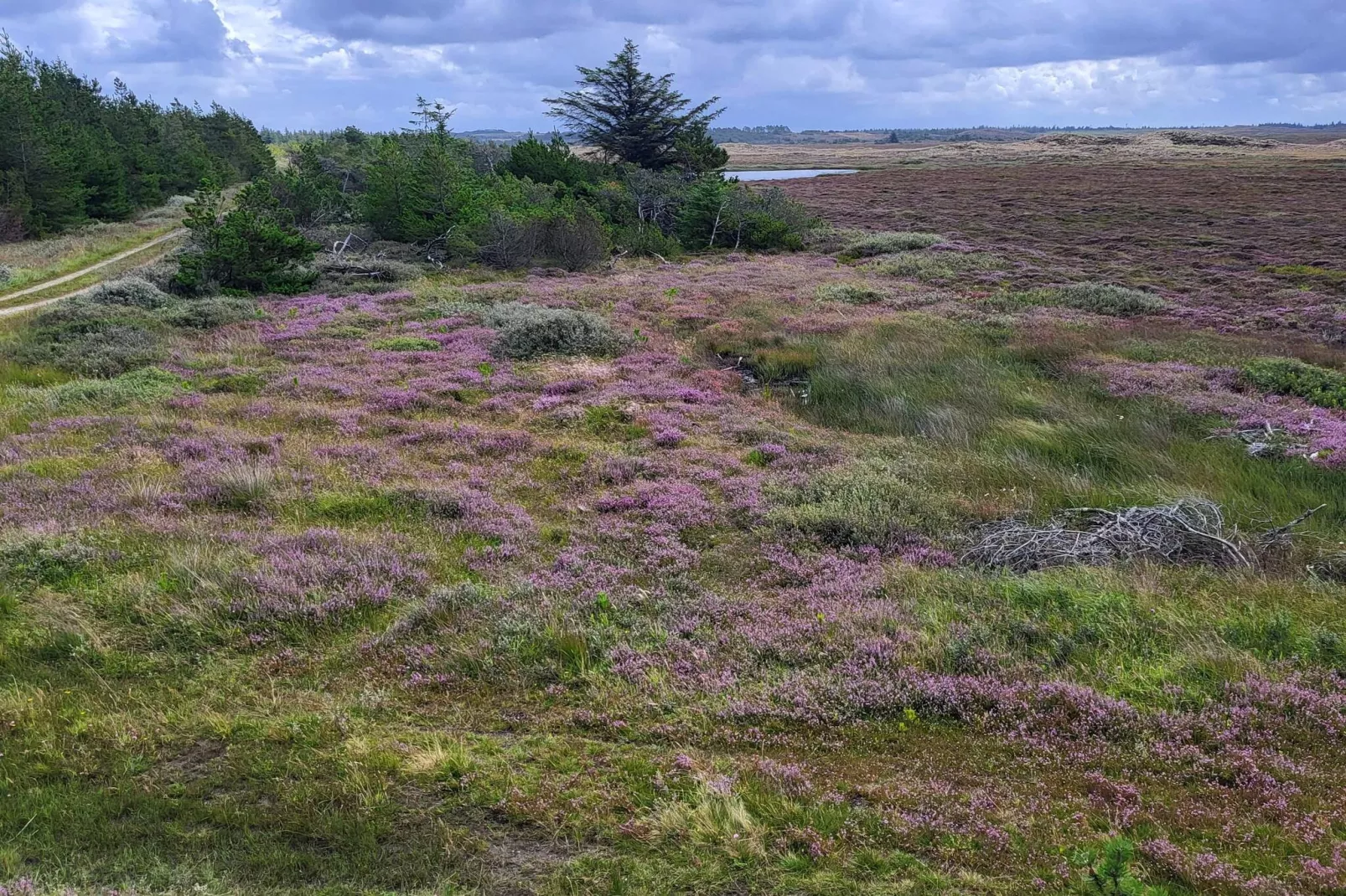 Gezellig toevluchtsoord met Spa -- By Traum Ferienwohnungen-Niet-getagd