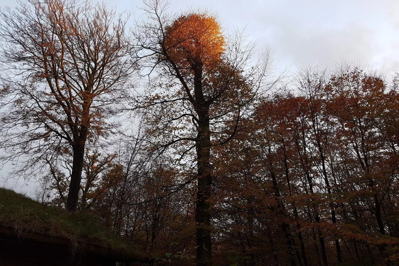 Panoramisch toevluchtsoord in Andkaer Vig -- By Traum Ferienwohnungen-Niet-getagd