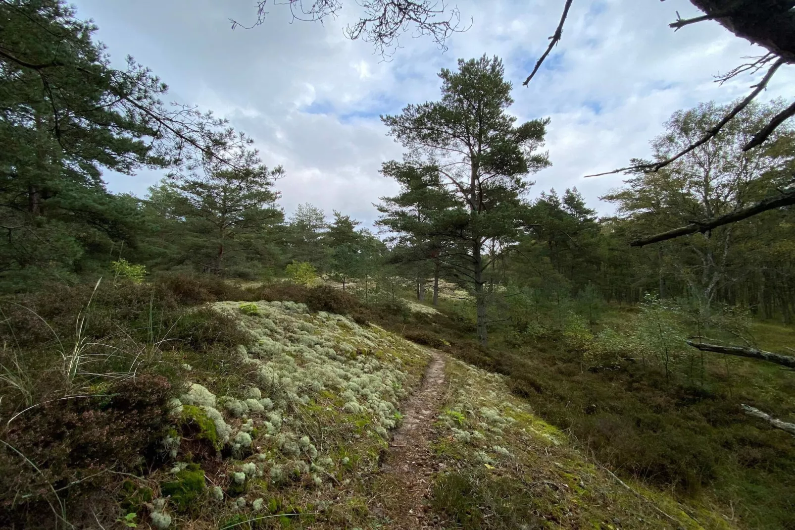 6 persoons vakantie huis in Hadsund-By Traum-Niet-getagd