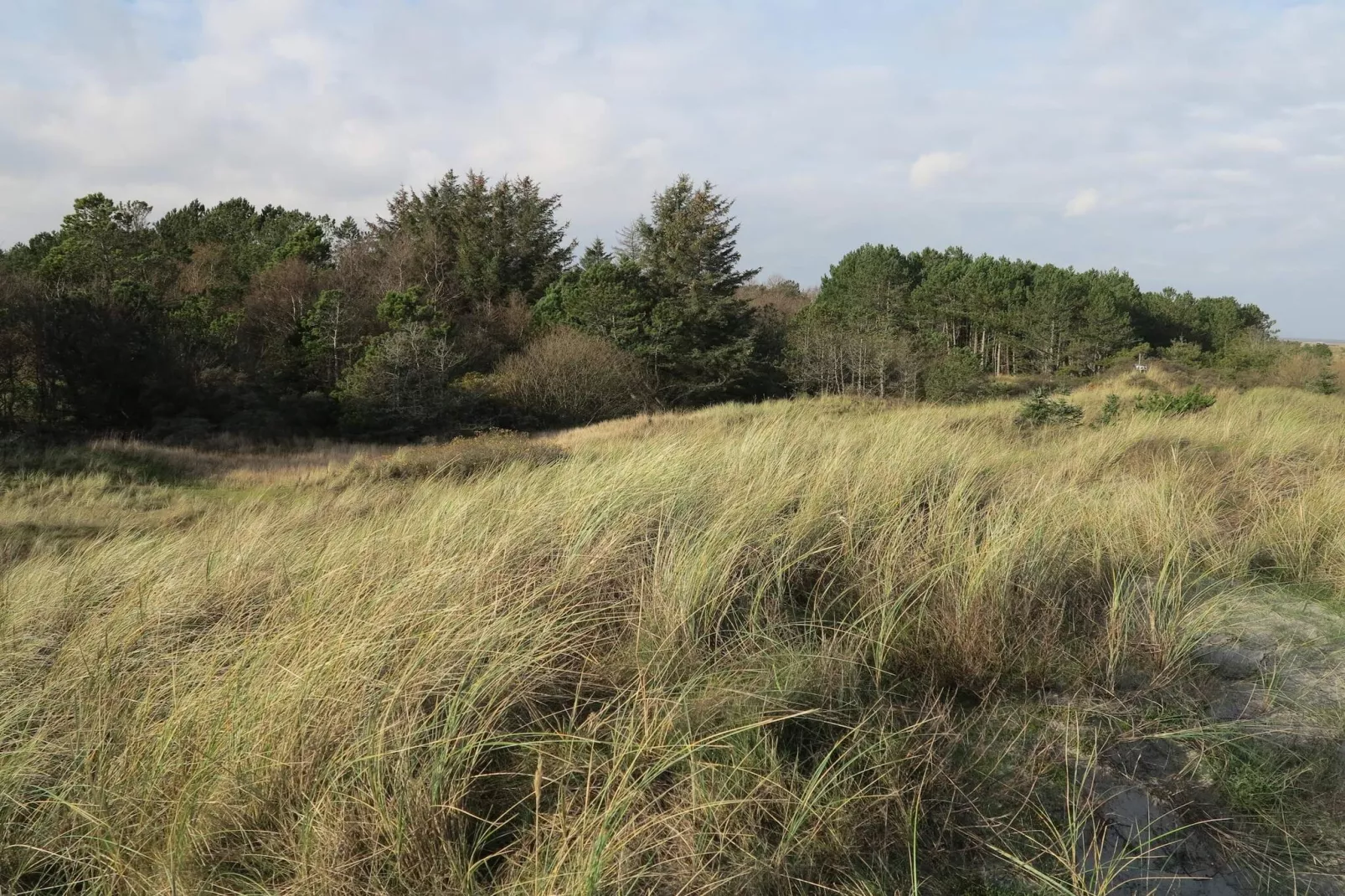 5 persoons vakantie huis in Strandby-By Traum-Niet-getagd