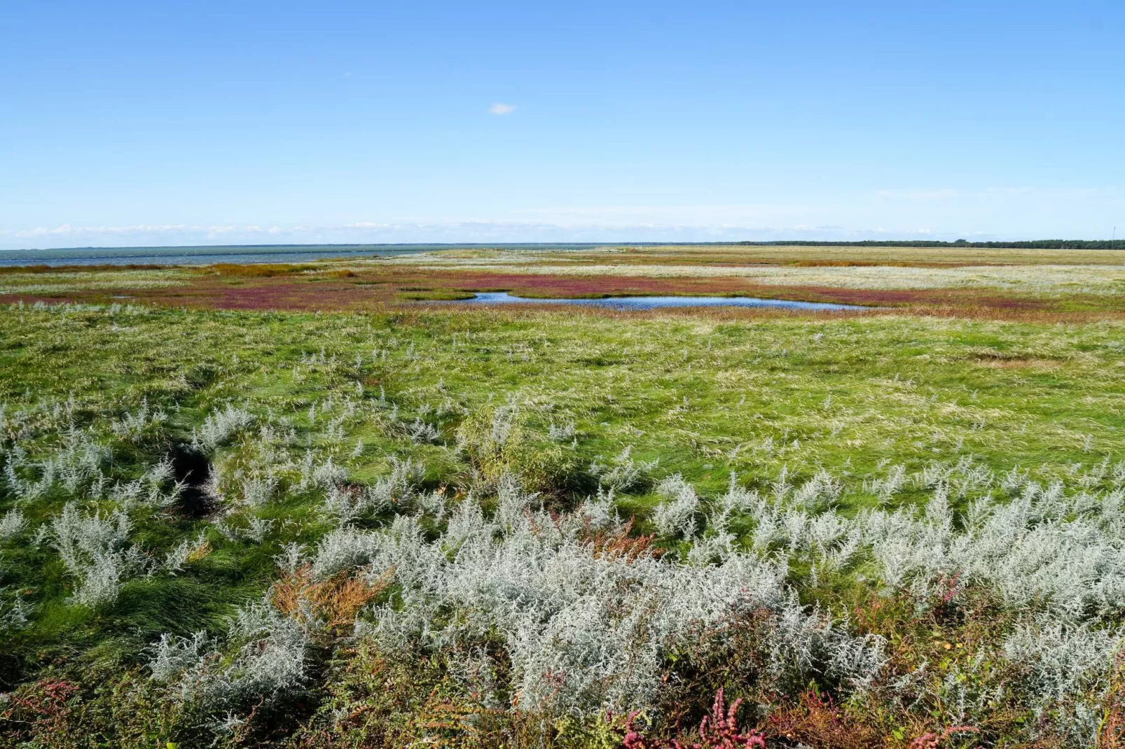 6 persoons vakantie huis in Læsø-By Traum-Niet-getagd