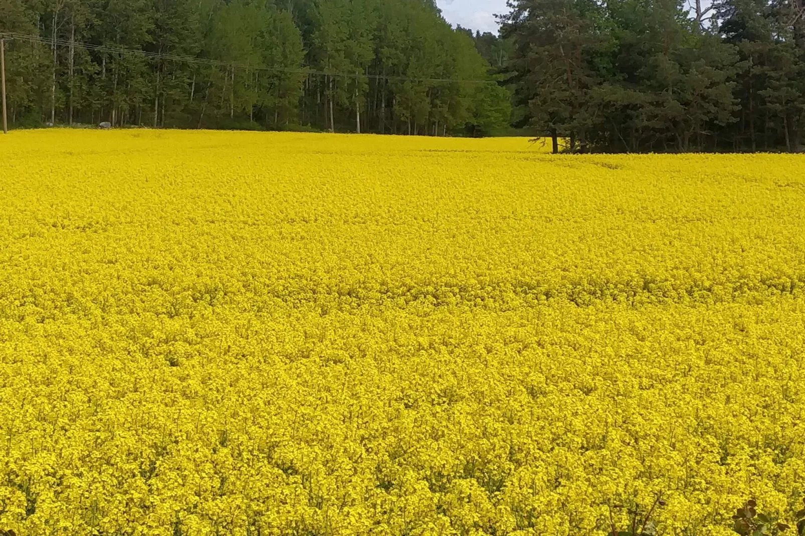 4 persoons vakantie huis in TORSHÄLLA-By Traum-Niet-getagd