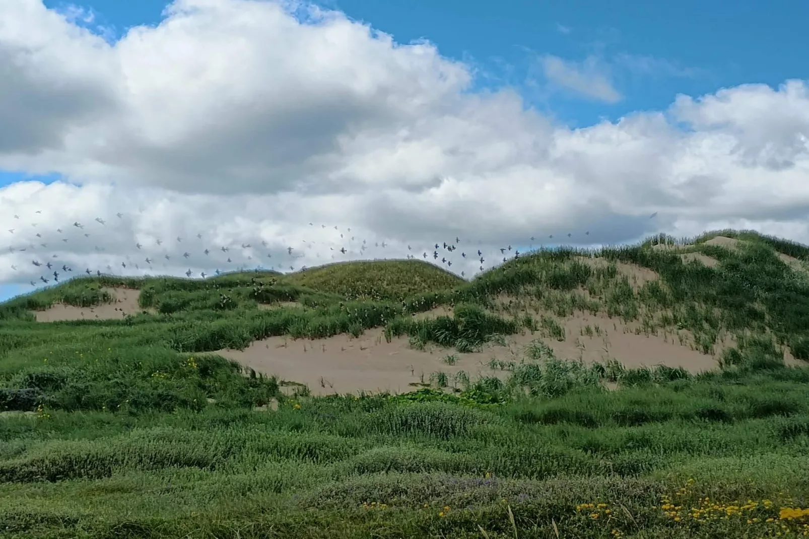 6 persoons vakantie huis in Ulfborg-By Traum-Niet-getagd