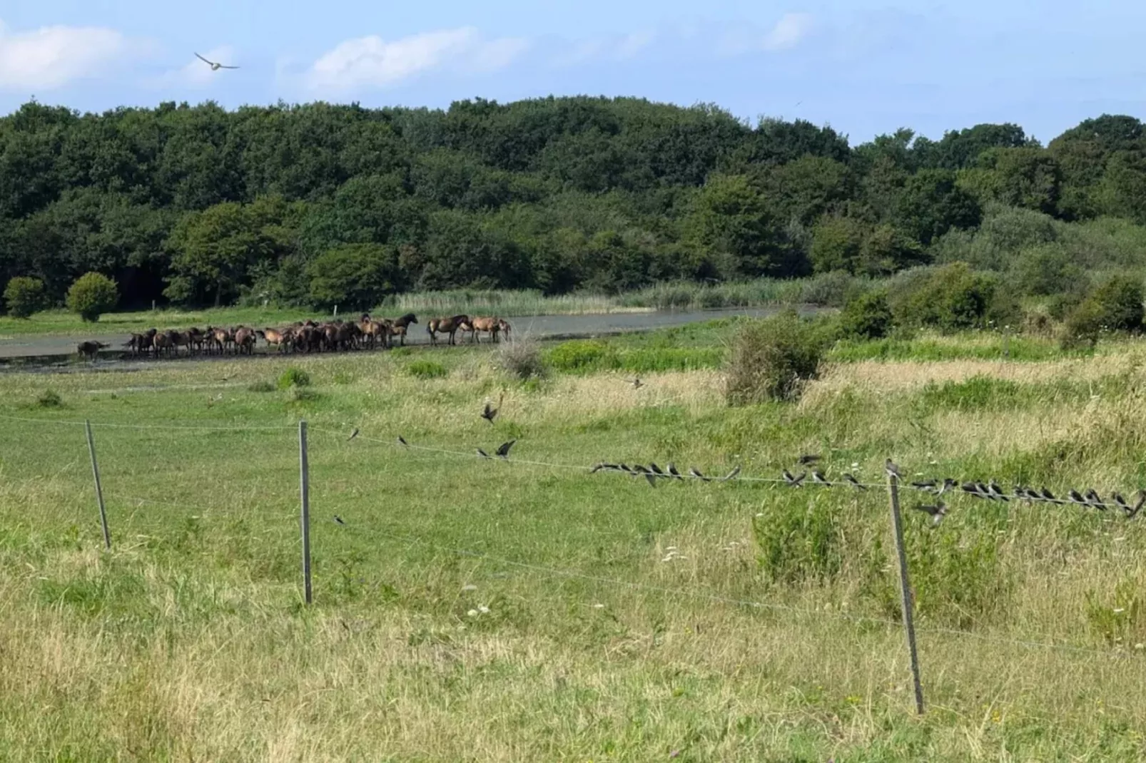 Familiehuisje voor acht gasten-Niet-getagd