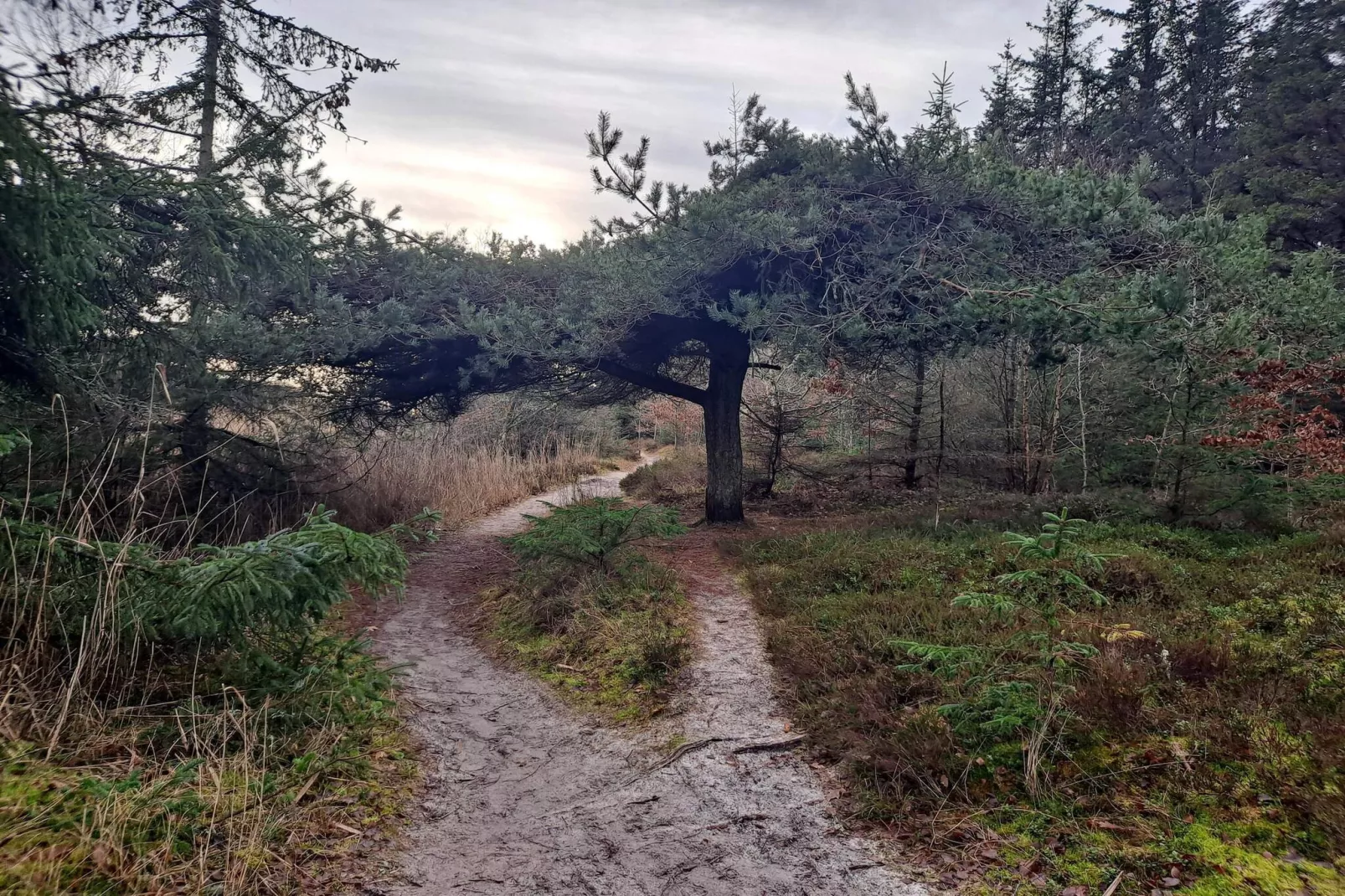 4 persoons vakantie huis in Hals-By Traum-Niet-getagd