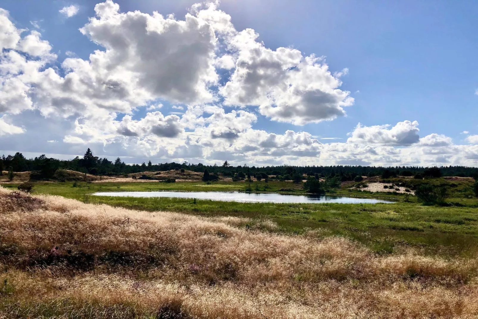 4 persoons vakantie huis in Grindsted-By Traum-Waterzicht