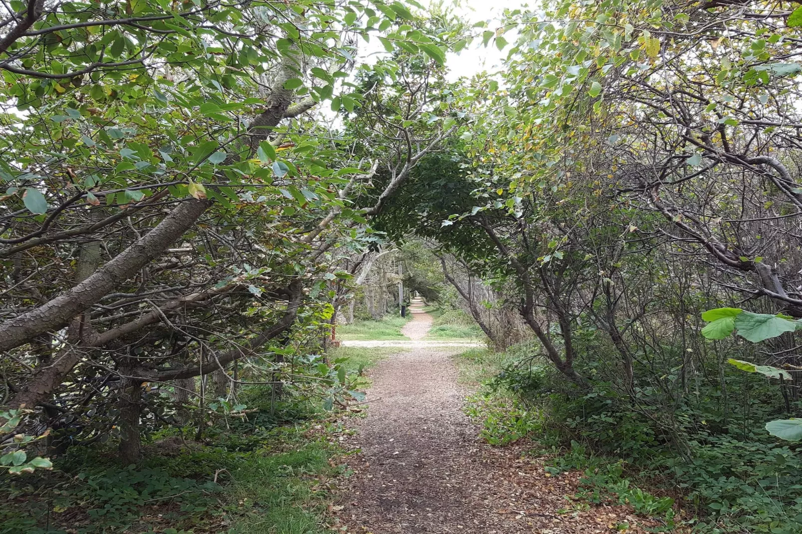 6 persoons vakantie huis in Thisted-By Traum-Niet-getagd