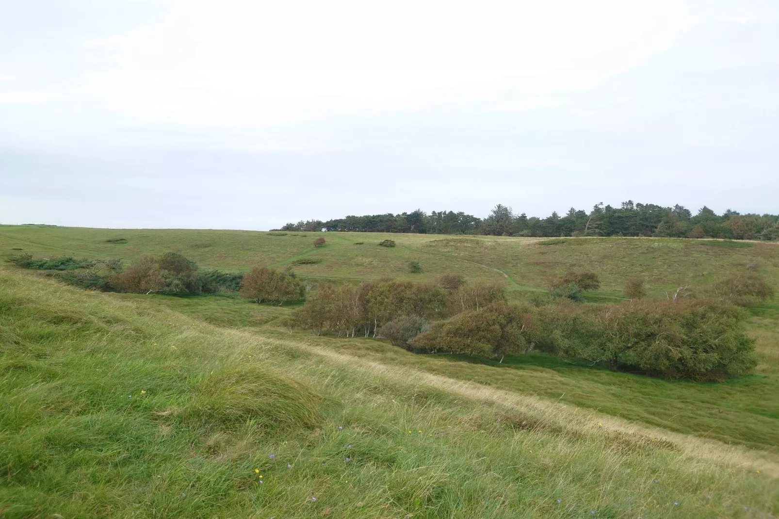 5 persoons vakantie huis in Græsted-By Traum-Niet-getagd