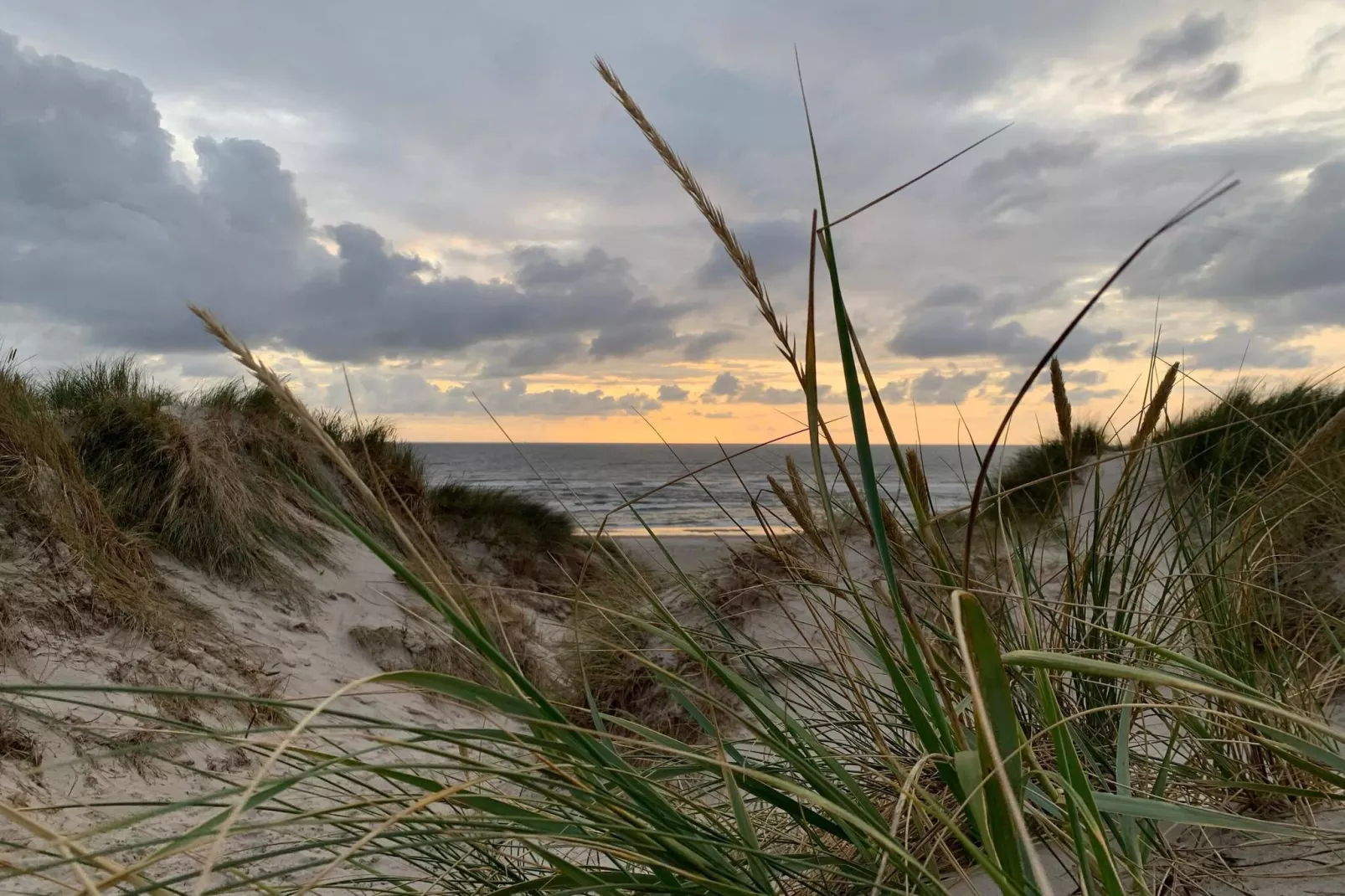 Modern Strandhuis -- By Traum Ferienwohnungen-Niet-getagd