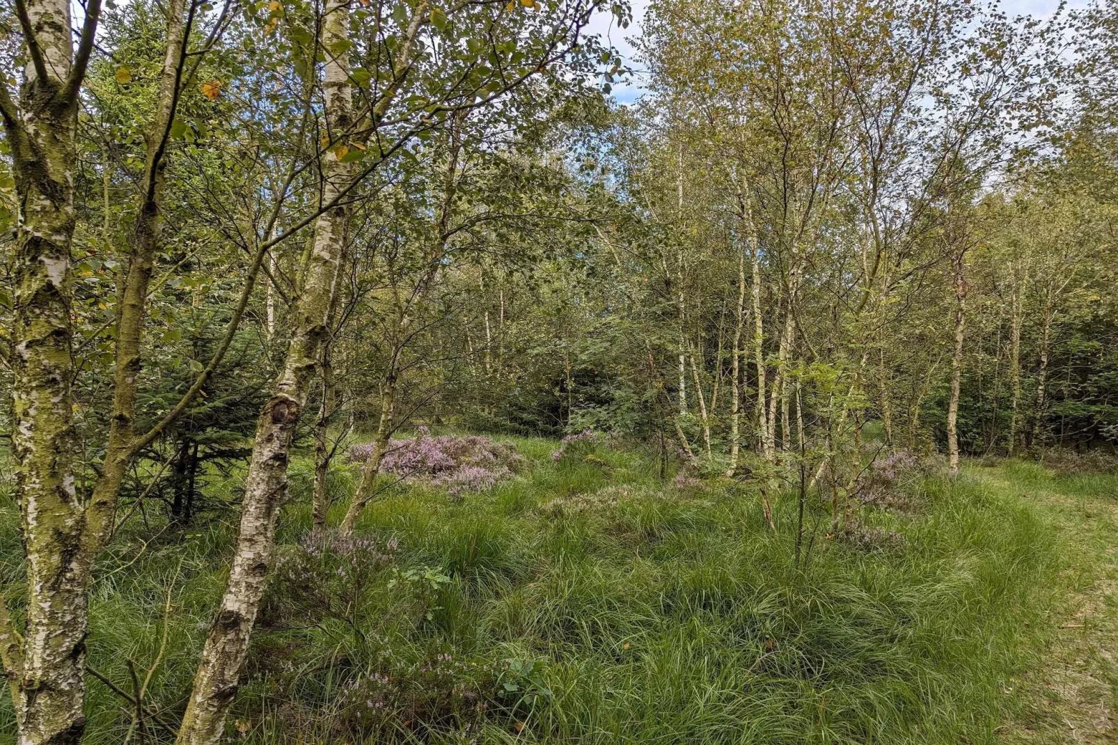 Gezellig toevluchtsoord in Arrild -- By Traum Ferienwohnungen-Niet-getagd