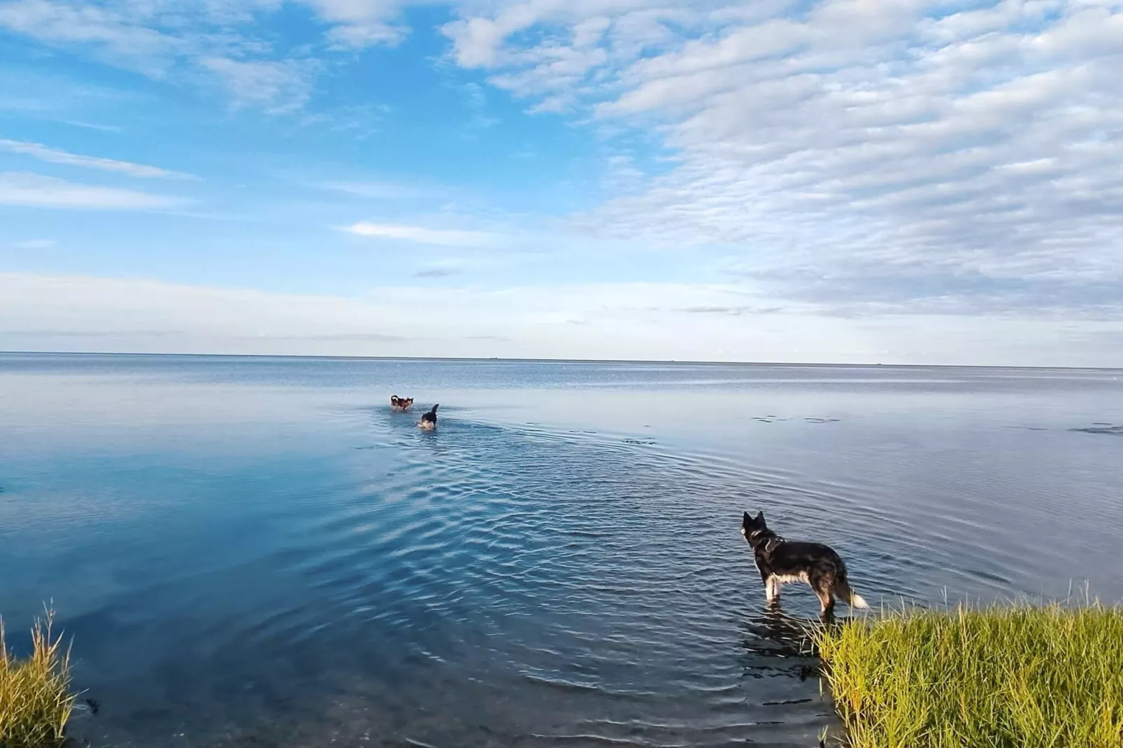 Kust ontsnapping met zwembad -- By Traum Ferienwohnungen-Waterzicht