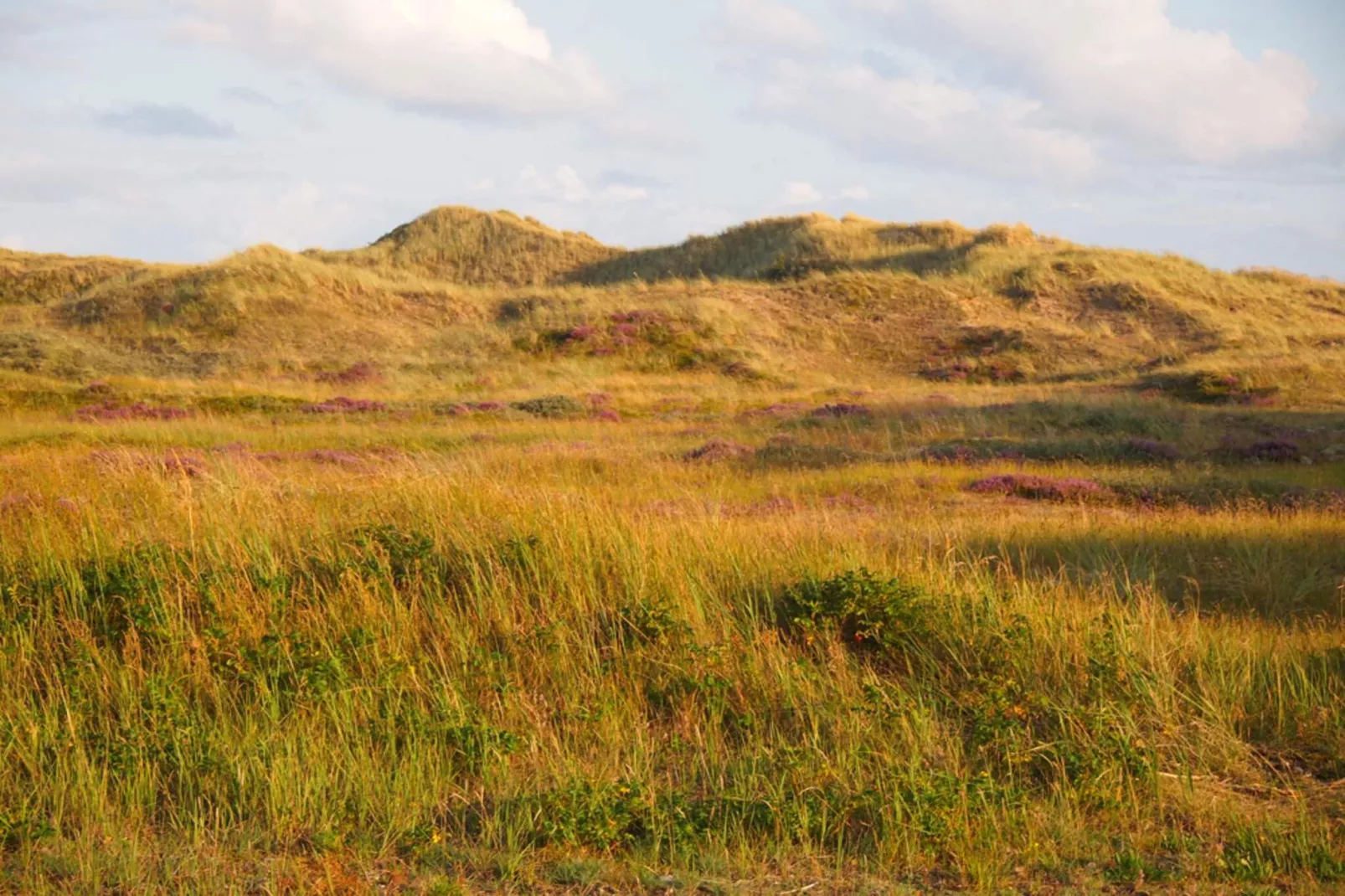 4 persoons vakantie huis in Skagen-By Traum-Niet-getagd