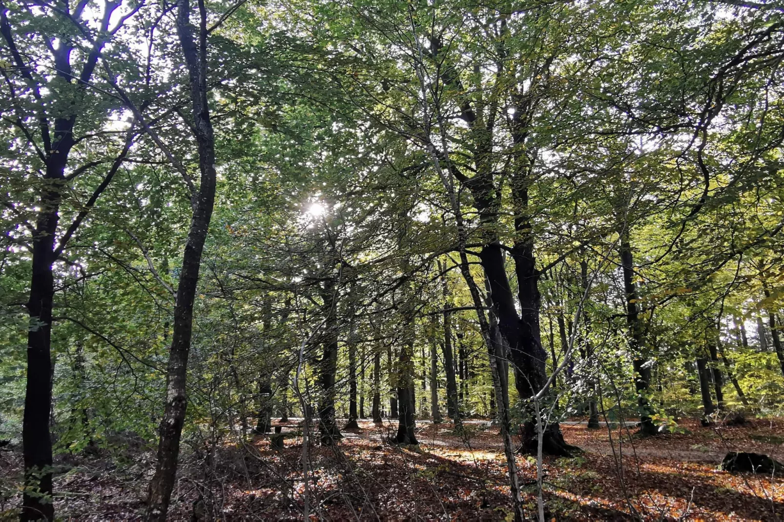 UDSIGTEN-Niet-getagd