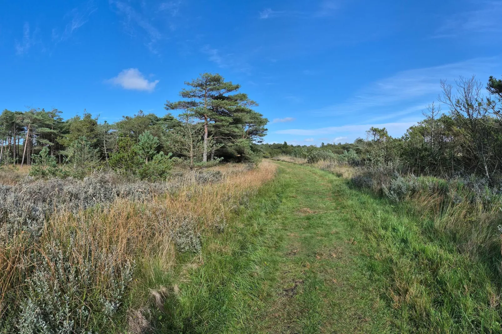 Moderne retraite nabij Vadehavet -- By Traum Ferienwohnungen-Niet-getagd