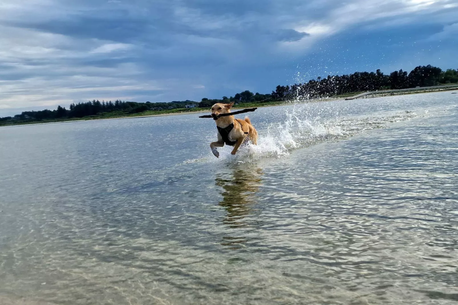 10 persoons vakantie huis in Hadsund-By Traum-Waterzicht