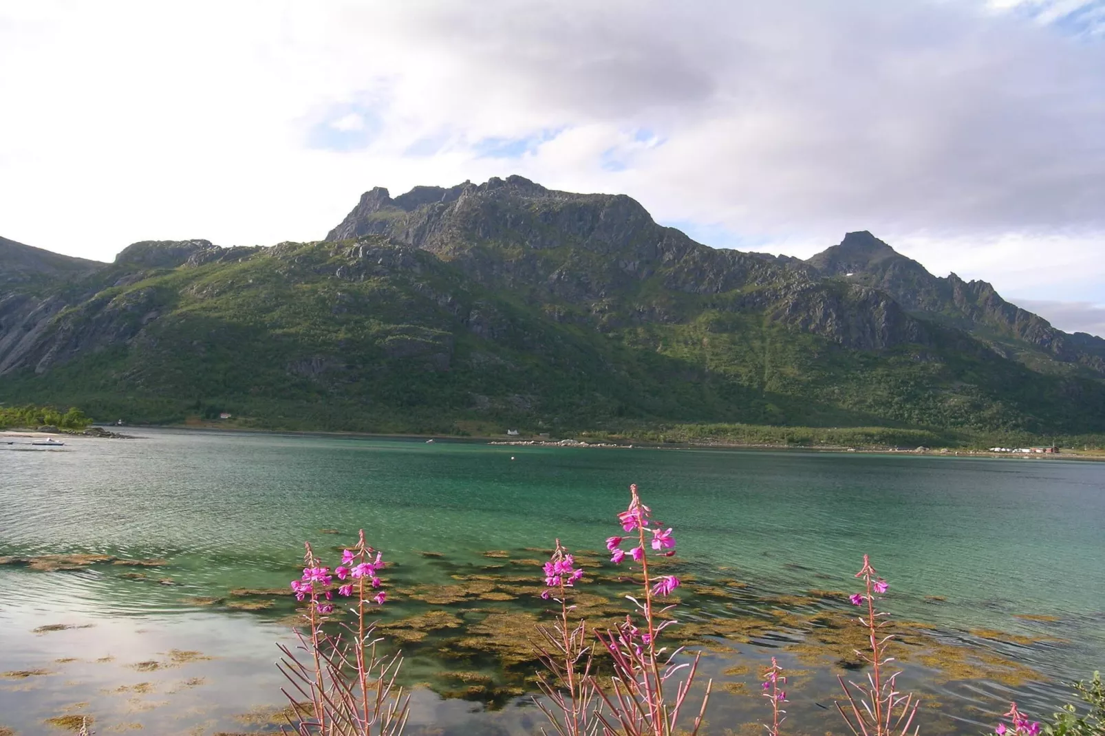 5 persoons vakantie huis in Digermulen-Niet-getagd